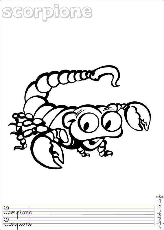 coloriage scorpion 1 .. Coloriages Animaux du désert en italien